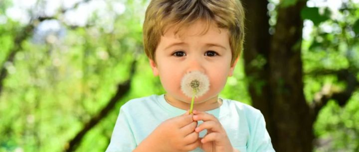 过敏性鼻炎可能影响孩子智力发育，基本的治疗一定要了解