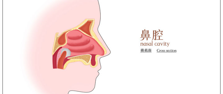 体检时，鼻腔检查可以发现哪些疾病？