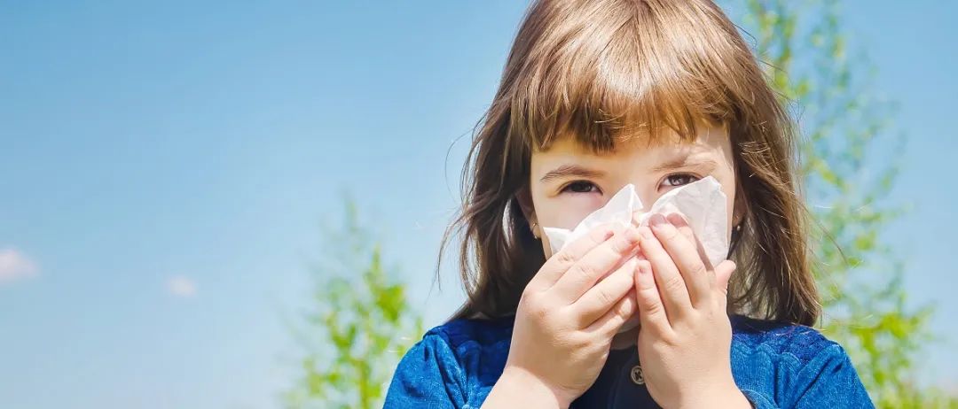 小鼻子大问题过敏性鼻炎知多少？